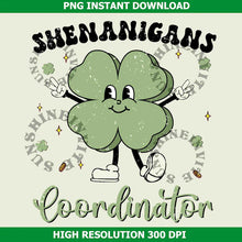 Load image into Gallery viewer, Adult St pats day shirts
